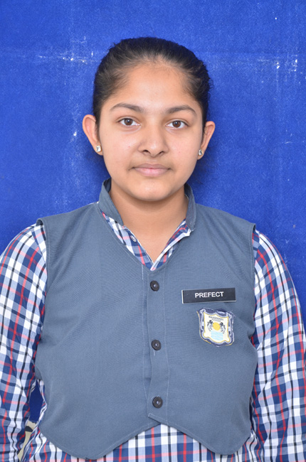 DSC0019-small